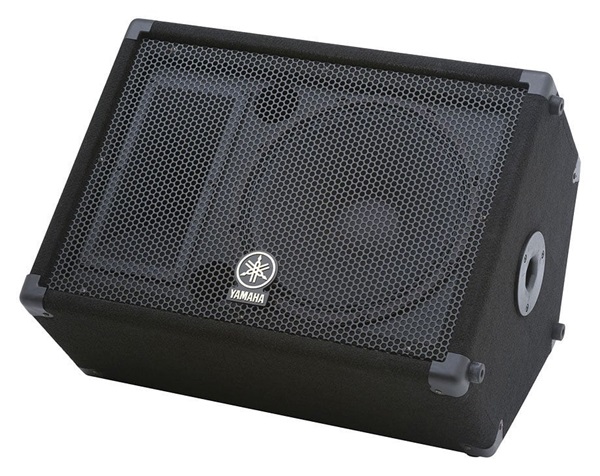 12 Inch Floor Monitors