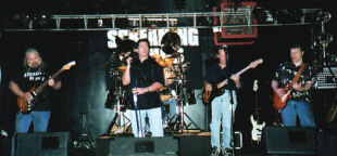 screamingwings
