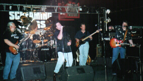 screamingwings