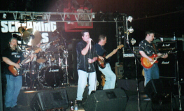 screamingwings
