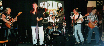 screamingwings