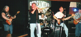 screamingwings