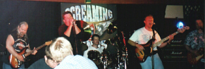 screamingwings